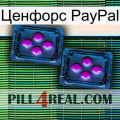 Ценфорс PayPal 03